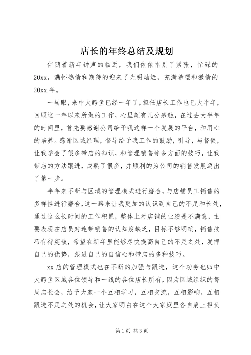 店长的年终总结及规划.docx