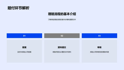 保险理赔流程解析PPT模板