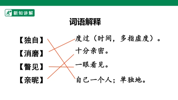 28 海的女儿