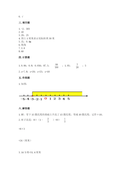 共和县六年级下册数学期末测试卷（夺分金卷）.docx