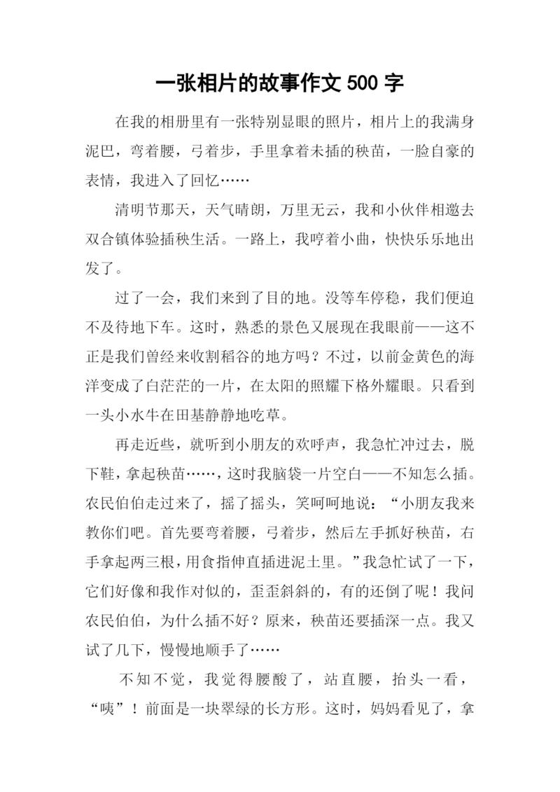 一张相片的故事作文500字.docx