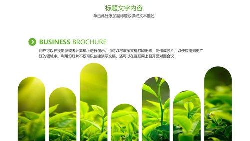 绿色唯美茶文化品茶论道PPT模板