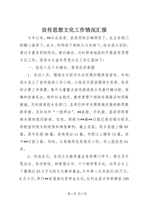 宣传思想文化工作情况汇报.docx