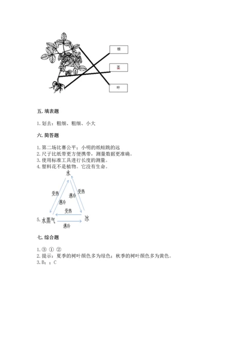 教科版科学一年级上册期末测试卷a4版打印.docx