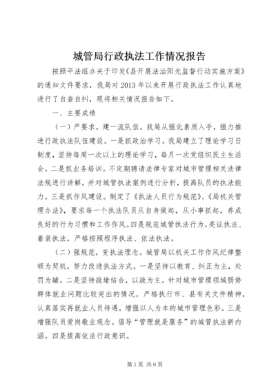 城管局行政执法工作情况报告.docx