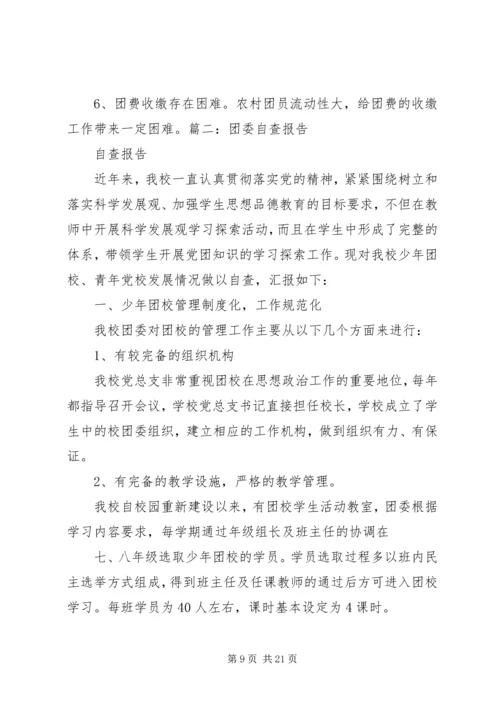 团委自查报告2.docx