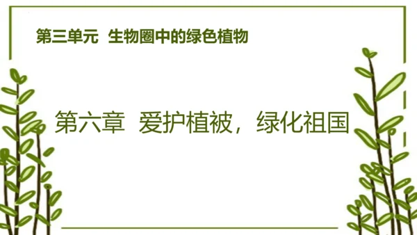 3.6 爱护植被，绿化祖国2023-2024学年七年级生物上学期同步精品课件（人教版）(共21张PP