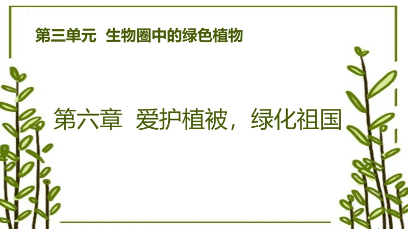 3.6 爱护植被，绿化祖国2023-2024学年七年级生物上学期同步精品课件（人教版）(共21张PP