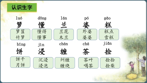 3.桂花雨  课件