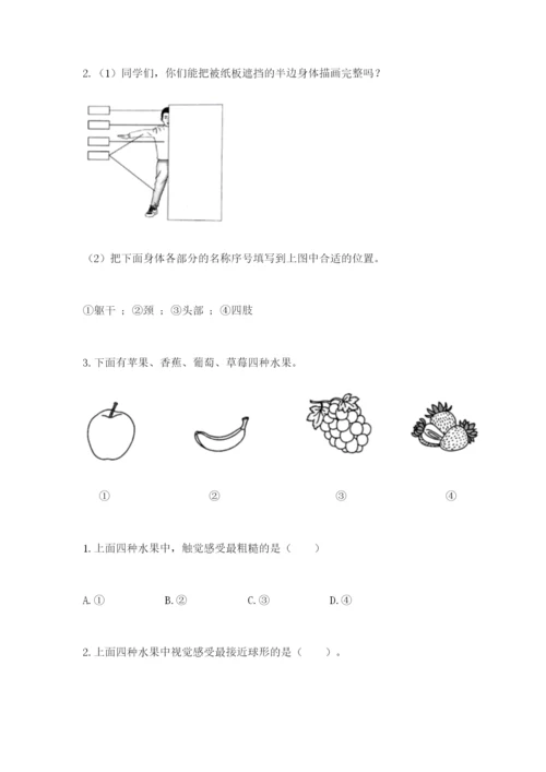 教科版小学科学二年级下册 期末测试卷含答案【夺分金卷】.docx