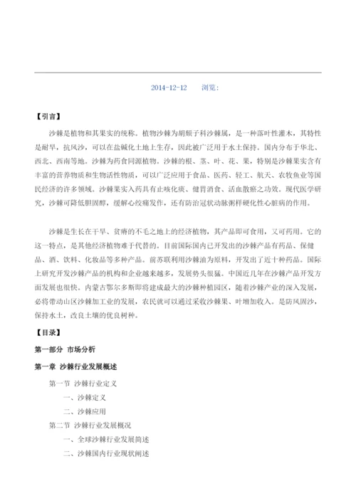 沙棘项目投资调研及前景预测报告模板.docx
