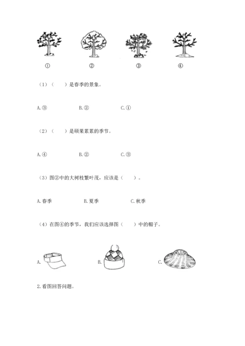 教科版二年级上册科学期末测试卷精品（能力提升）.docx