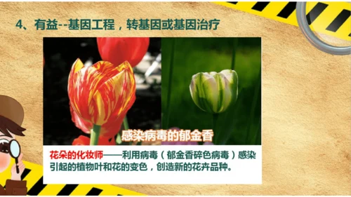 人教版生物八年级上册5.5《病毒》（课件）(共30张PPT)+视频素材