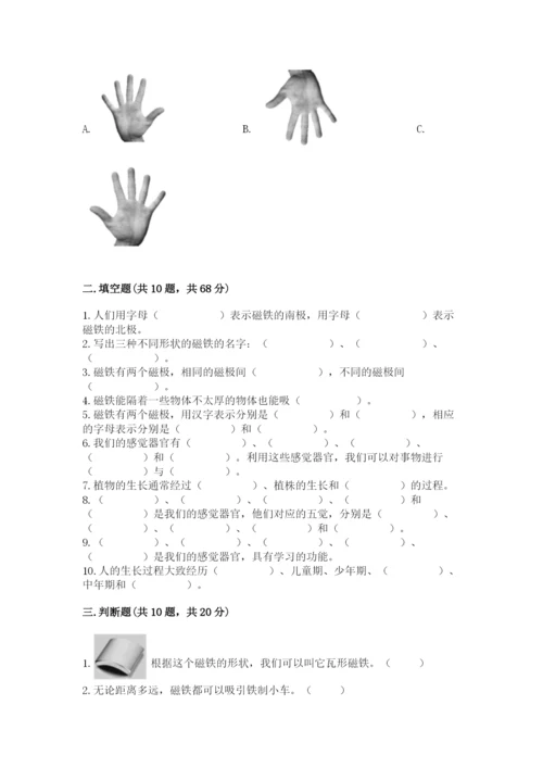 教科版小学科学二年级下册 期末测试卷（模拟题）.docx