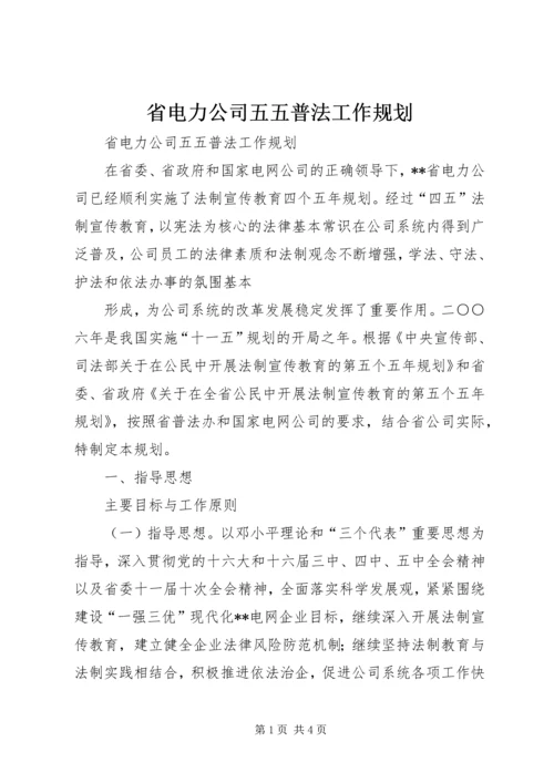 省电力公司五五普法工作规划 (2).docx