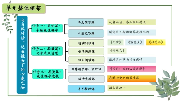 部编版语文五上第一单元 大单元教学设计--与自然对话，记录镜头下的心爱之物 说课课件