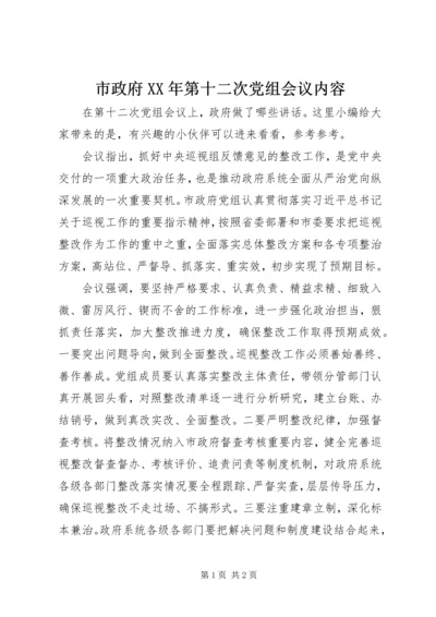 市政府XX年第十二次党组会议内容.docx