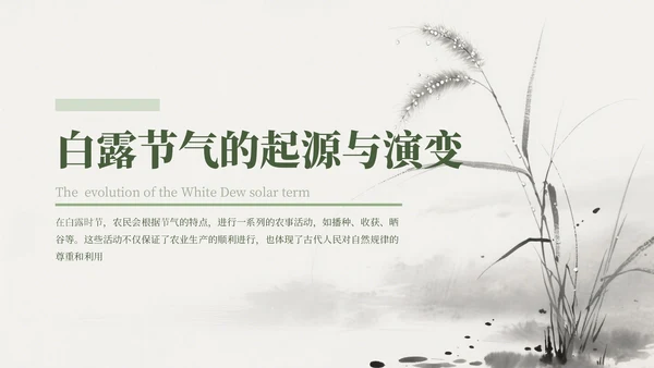 绿色中国风白露节气主题班会PPT模板