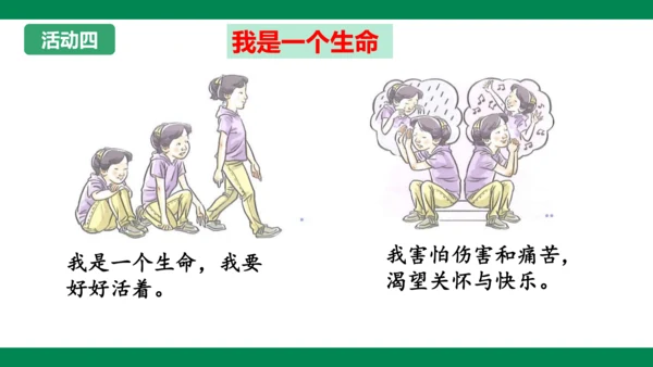 8.2敬畏生命 课件
