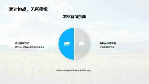 农业营销的数字化新篇章