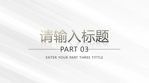 白金奢华简约商务运营方案PPT模板