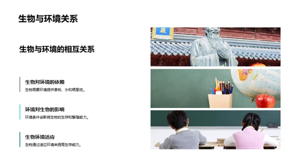 生态环境：平衡与保护