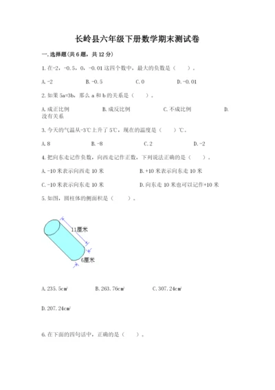 长岭县六年级下册数学期末测试卷（突破训练）.docx