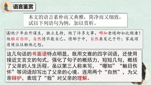 14 背影 课件