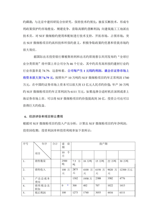 微细粉专项项目商业综合计划书模板.docx