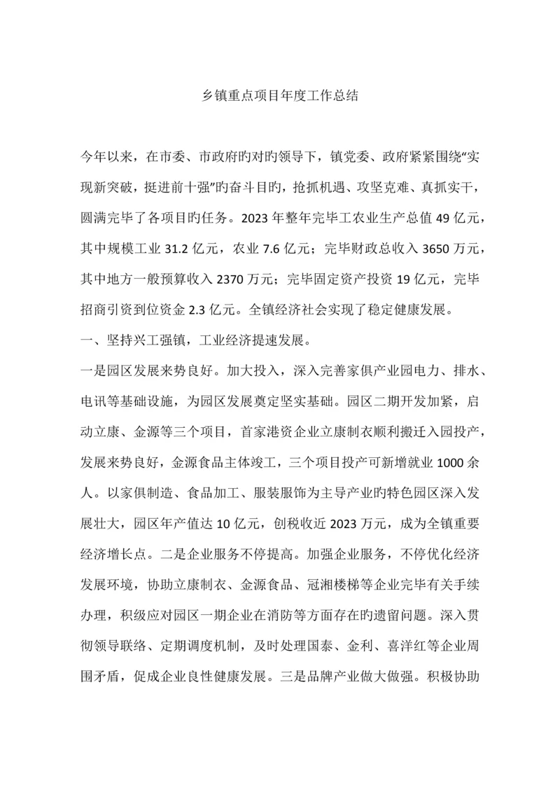 乡镇重点项目年度工作总结.docx