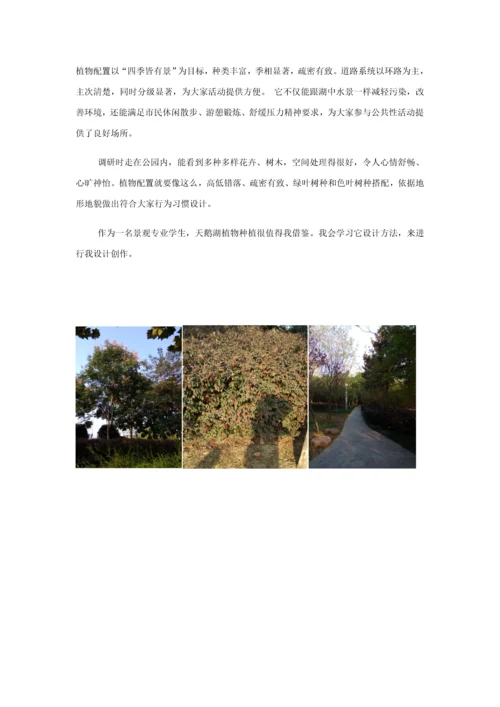 合肥市天鹅湖公园调研研究报告.docx