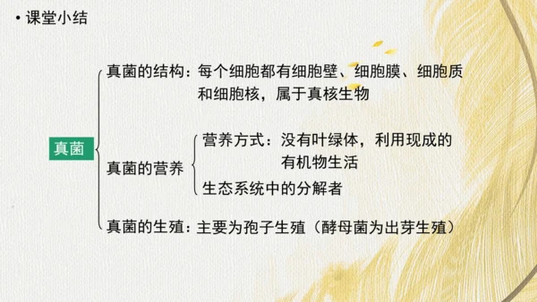 人教版（2024）七年级上册2.3.3真菌(共27张PPT)+视频素材