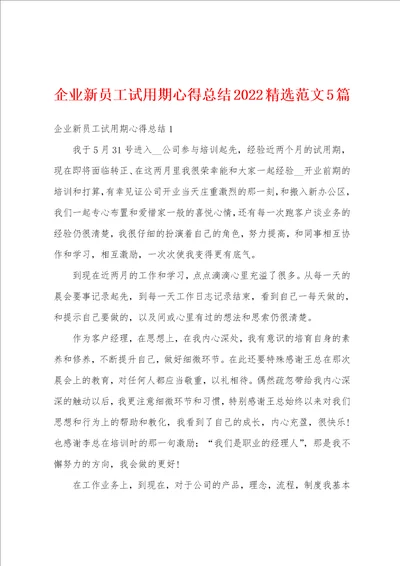 企业新员工试用期心得总结2022精选范文5篇