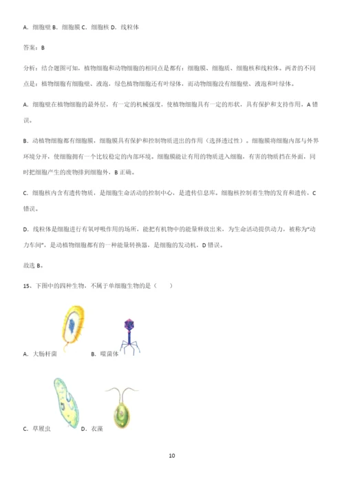 人教版2023初中生物七年级上册第二单元生物体的结构层次知识汇总笔记.docx