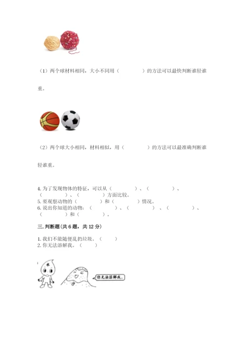 教科版小学科学一年级下册期末测试卷附答案（典型题）.docx