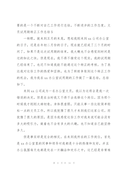 文员试用期转正工作总结15篇.docx
