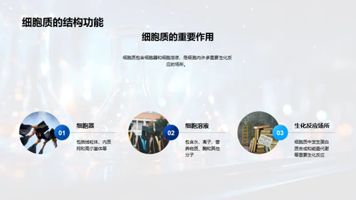 细胞学解析