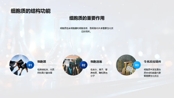 细胞学解析
