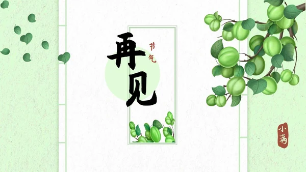 绿色清新小满节气宣传PPT模板