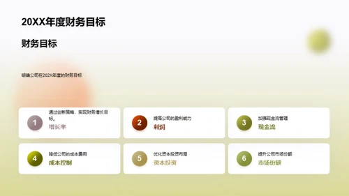 财务解析：20XX年度总结