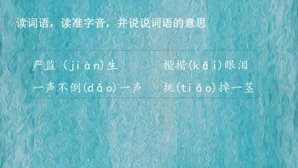 13 人物描写一组-两茎灯草（课件）