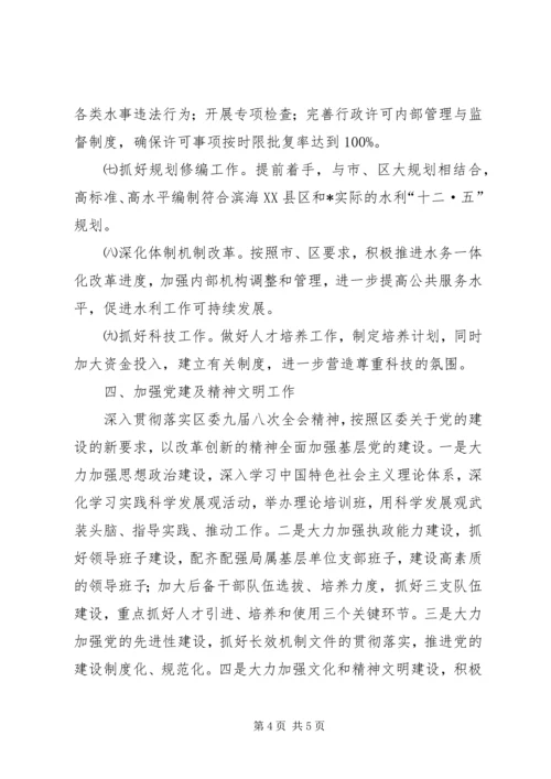 水利局实施工程建设计划.docx