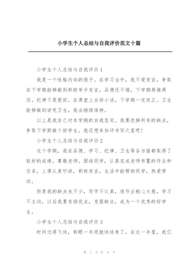 小学生个人总结与自我评价范文十篇.docx