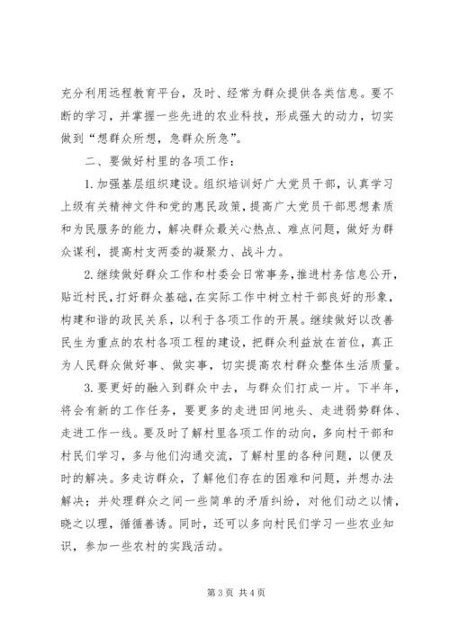 村主任助理上半年工作总结及下半年工作计划计划.docx