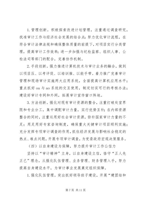 市审计局审计工作计划.docx