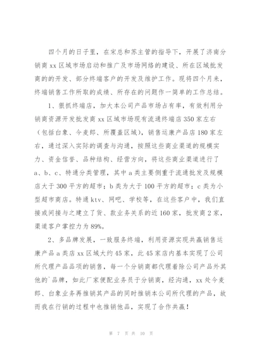 终端销售工作总结.docx