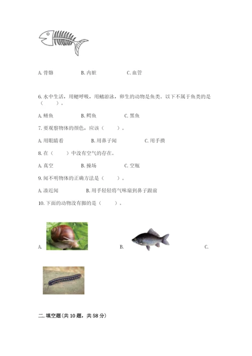 教科版一年级下册科学期末测试卷及完整答案（网校专用）.docx
