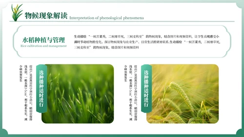 小满中国风教育教学通用模板PPT模板