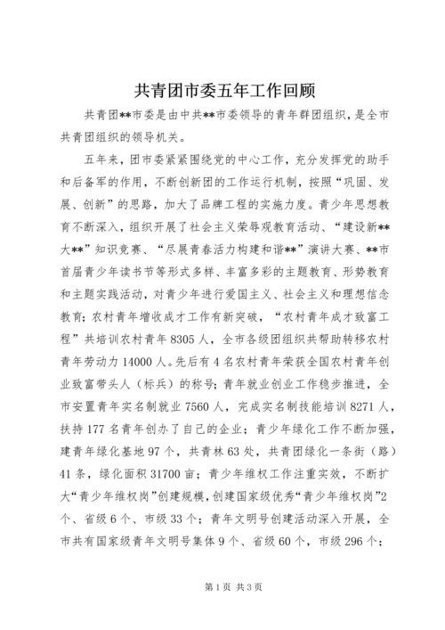 共青团市委五年工作回顾 (2).docx