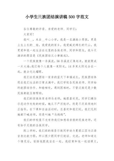 小学生民族团结演讲稿500字范文.docx